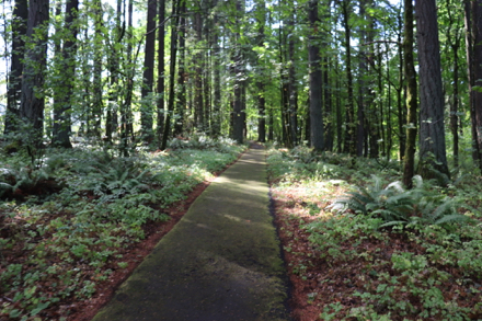 Paved Shelter Trail from parking lot to shelter and restroom – steep grade